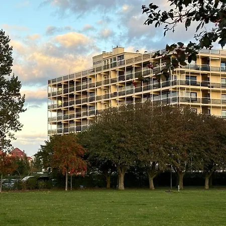 Kleiner Sonnenschein Ostsee *