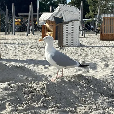 Kleiner Sonnenschein Ostsee Großenbrode